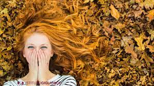 Immagine relativa al post intitolato Stop alla Caduta dei Capelli: La Guida Farmamood agli Integratori Più Efficaci