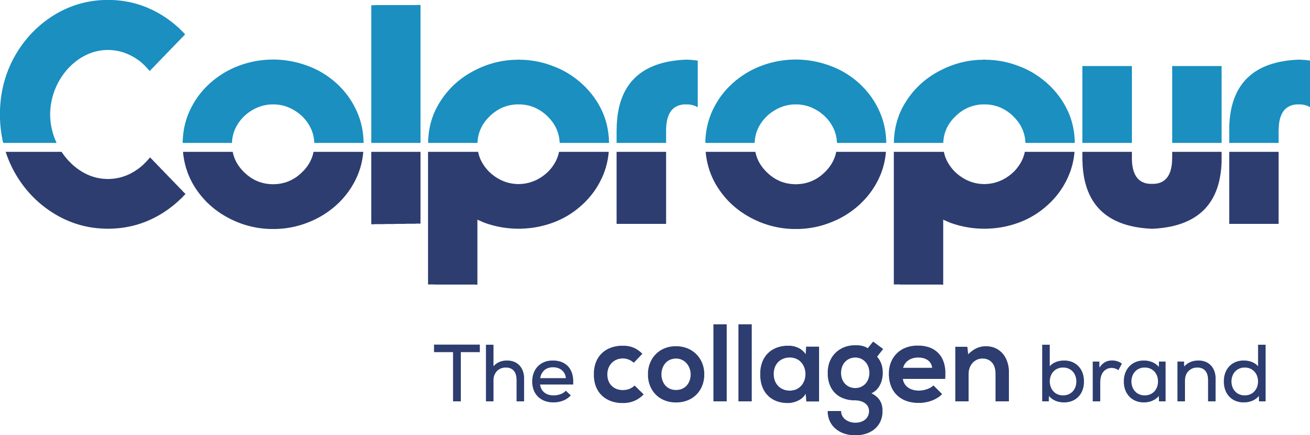 Logo relativo al brand protein-sa