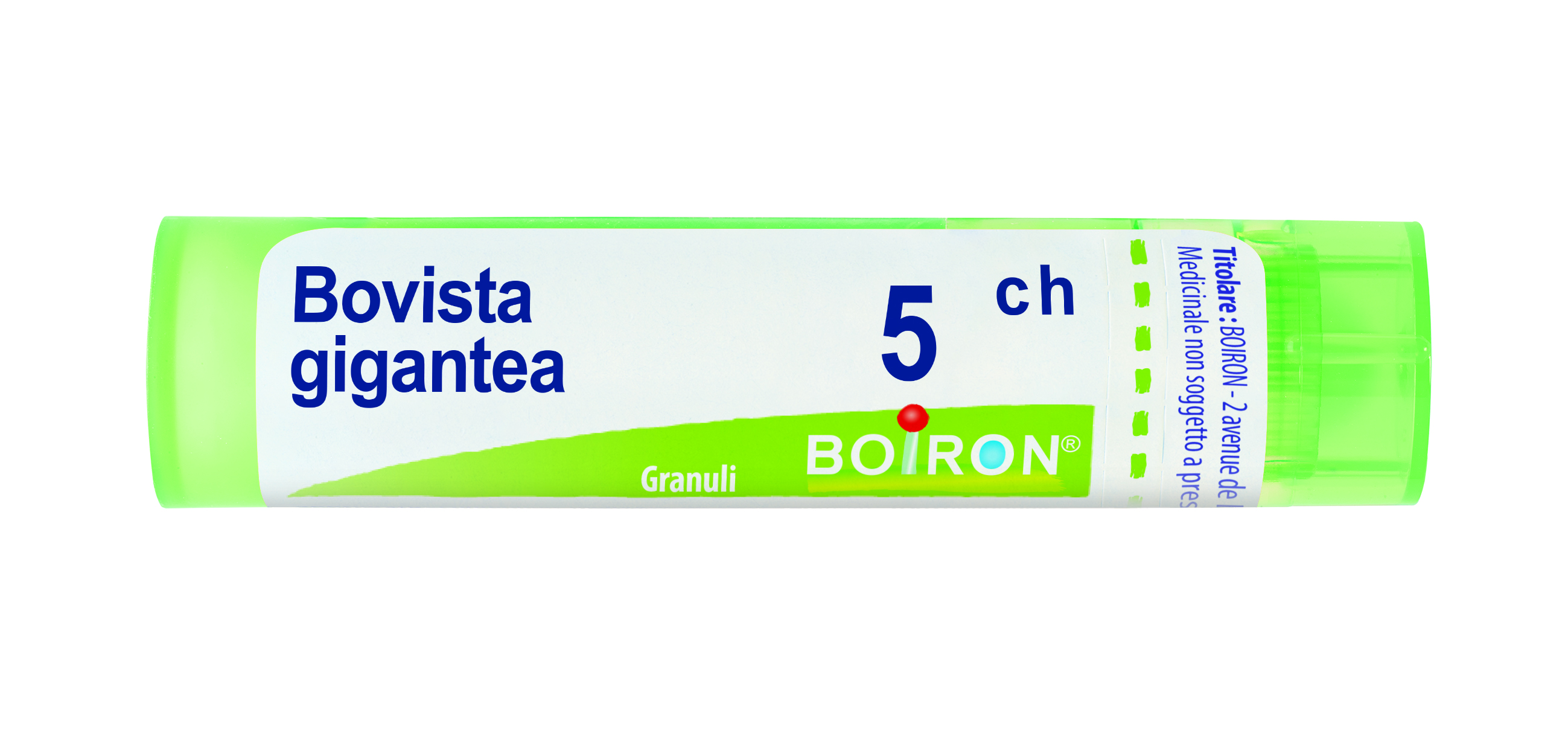 BOVISTA GIGANTEA*5CH 80GR 4G - Farmamood