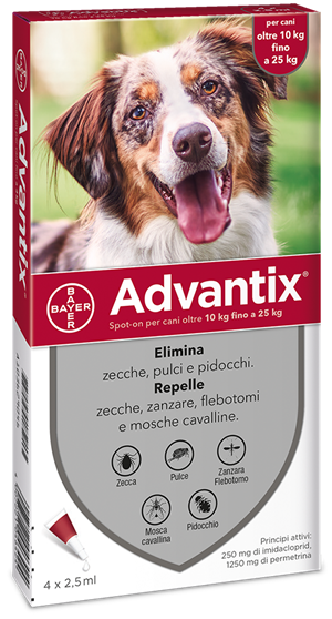 ADVANTIX SPOT ON*4PIP 10-25KG - Farmamood