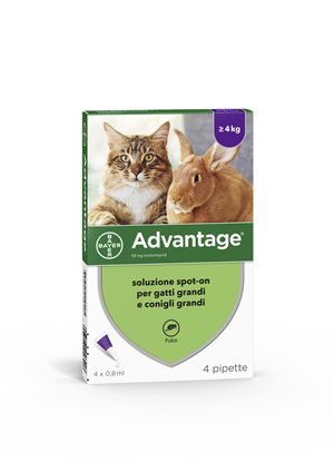 ADVANTAGE*4PIP 0,8ML SPOTON - Farmamood