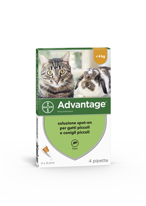 ADVANTAGE*4PIP 0,4ML SPOTON - Farmamood