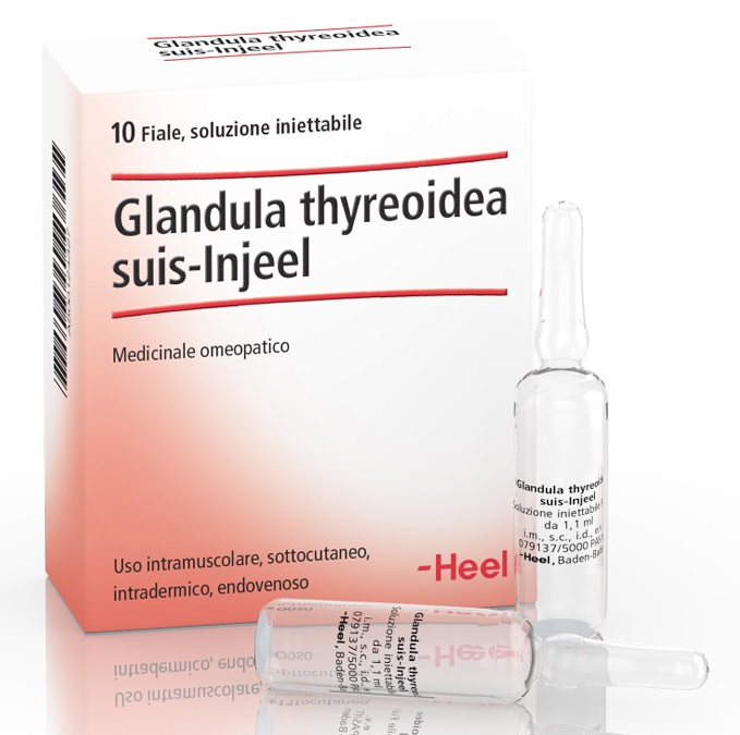 HEEL GLANDULA THYROIDEA SUIS INJEEL 10 FIALE - Farmamood
