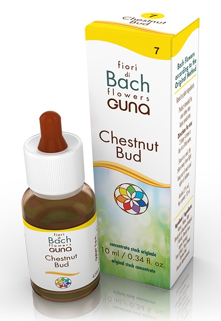 CHESTNUT BUD GOCCE 10 ML - Farmamood