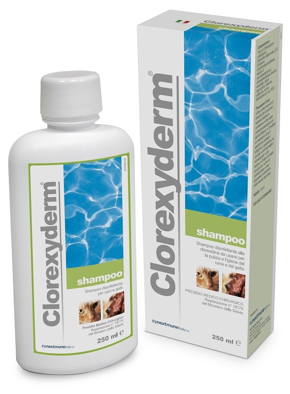 CLOREXYDERM SHAMPOO 250 ML - Farmamood