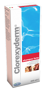 CLOREXYDERM SHAMPOO FORTE 200 ML - Farmamood