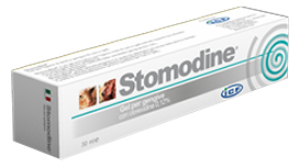 STOMODINE GEL GENG CANI 30ML - Farmamood