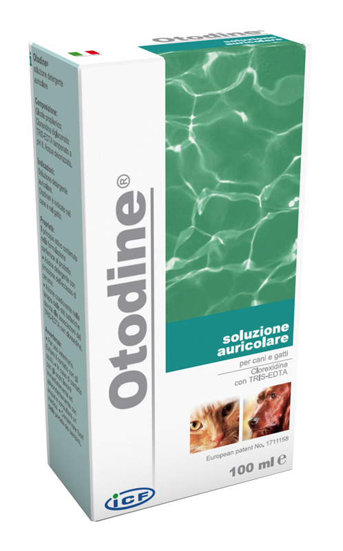 OTODINE DET LIQ 100ML - Farmamood