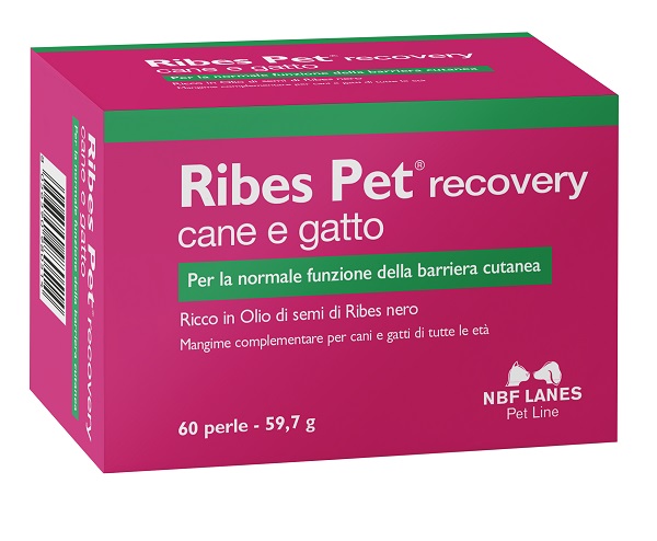 RIBES PET RECOVERY BLISTER 60 PERLE - Farmamood