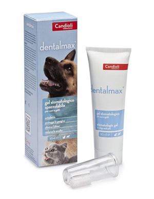 DENTALMAX GEL STOMATOLOGICO 50 ML - Farmamood