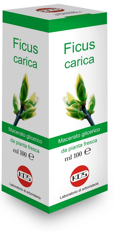 FICUS CARICA MG 100 ML GOCCE - Farmamood
