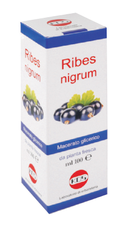 RIBES NIGRUM MG 100 ML GOCCE - Farmamood
