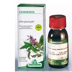 GEMMOSOL 36 RIBES NERO 50ML - Farmamood