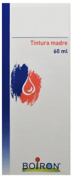 THUYA OCCIDENTALIS TINTURA MADRE 60 ML - Farmamood