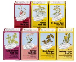 SALVIA TISANA 15 FILTRI BIO - Farmamood