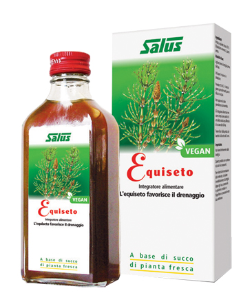 EQUISETO SUCCO 200 ML BIO - Farmamood