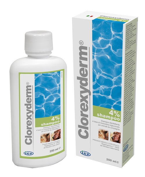 CLOREXYDERM SH 4% 250ML - Farmamood