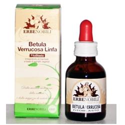 FITOBLASTO BETULLA VERRUCOSA LINFA 50 ML - Farmamood