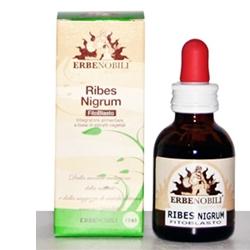 FITOBLASTO RIBES NIGRUM 50 ML - Farmamood
