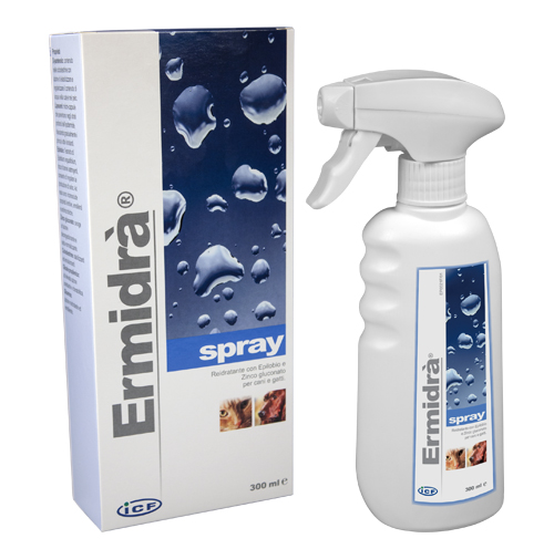 ERMIDRA' SPRAY 300 ML - Farmamood