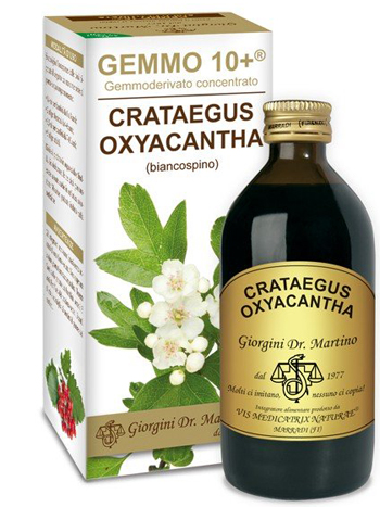 GEMMO 10+ BIANCOSPINO LIQUIDO ANALCOLICO 200 ML - Farmamood