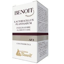 BENOIT LACTOBACILLUS PLANTHARUM 30 CAPSULE - Farmamood