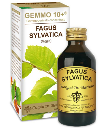 GEMMO 10+ FAGGIO 100 ML LIQUIDO ANALCOLICO - Farmamood