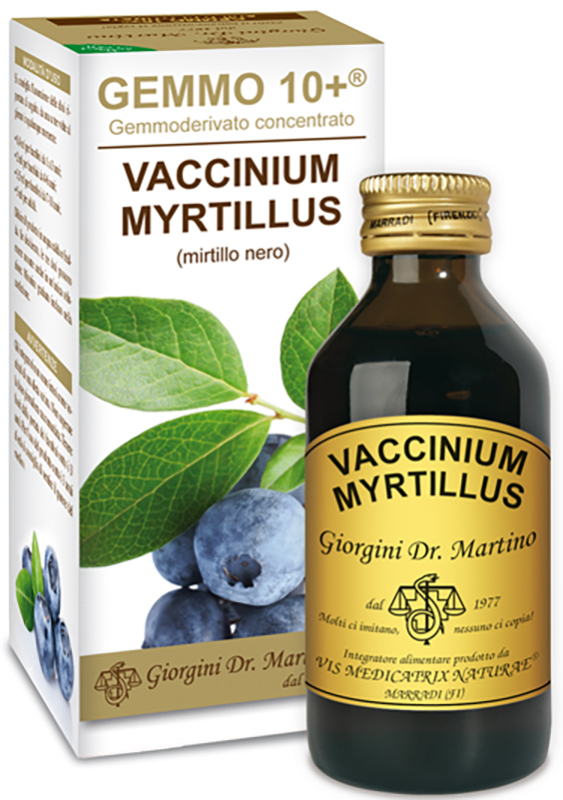 GEMMO 10+ GEMMODERIVATO CONCENTRATO VACCINIUM MYRTILLUS MIRTILLO NERO SENZA ALCOOL 100 ML - Farmamood