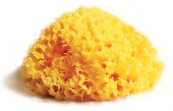 SPUGNA NATURALE MEDITERRANEA LABORATORI ATENEI 12 - Farmamood