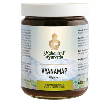 VYANAMAP PASTA 600 G - Farmamood
