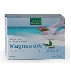 MAGNESIO B6 + BAOBAB 60 CAPSULE - Farmamood