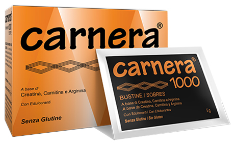 CARNERA 1000 18 BUSTINE - Farmamood