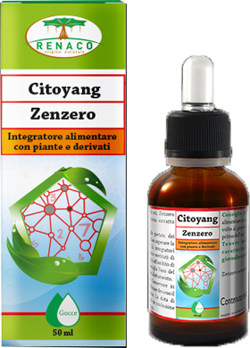 CITOYANG ZENZERO GOCCE FLACONCINO 50 ML - Farmamood