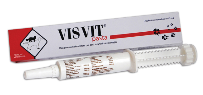 VISVIT PASTA OS SIRINGA 15 G - Farmamood