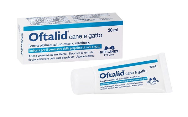 OFTALID POMATA OFTALMICA 20 ML - Farmamood