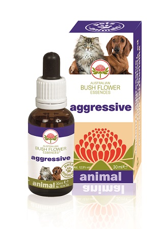 AGGRESSIVE 30 ML - Farmamood