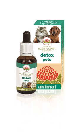 DETOX PETS 30 ML - Farmamood