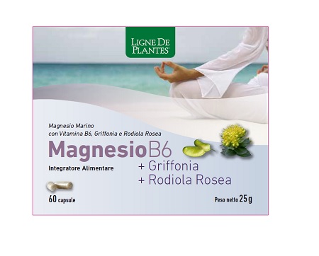 MAGNESIO B6 + GRIFFONIA + RODIOLA 60 CAPSULE - Farmamood
