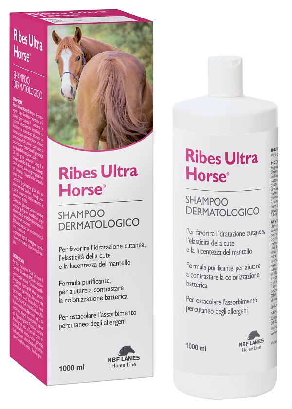 RIBES HORSE ULTRA SHAMPOO DERMATOLOGICO 1 LITRO - Farmamood