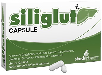 SILIGLUT 20 CAPSULE - Farmamood