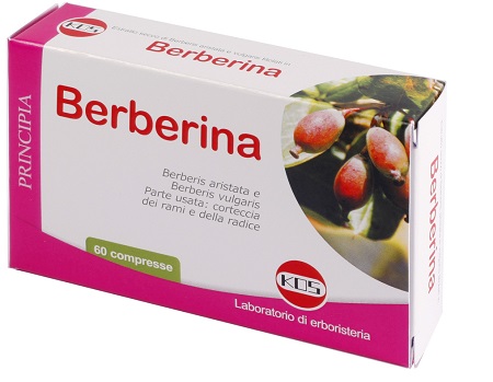 BERBERINA DA BERBERIS VULGARIS ESTRATTO SECCO 60 COMPRESSE - Farmamood