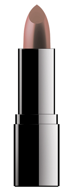 ROUGJ PLUMP LIPSTICK 06 MACCHINETTA - Farmamood