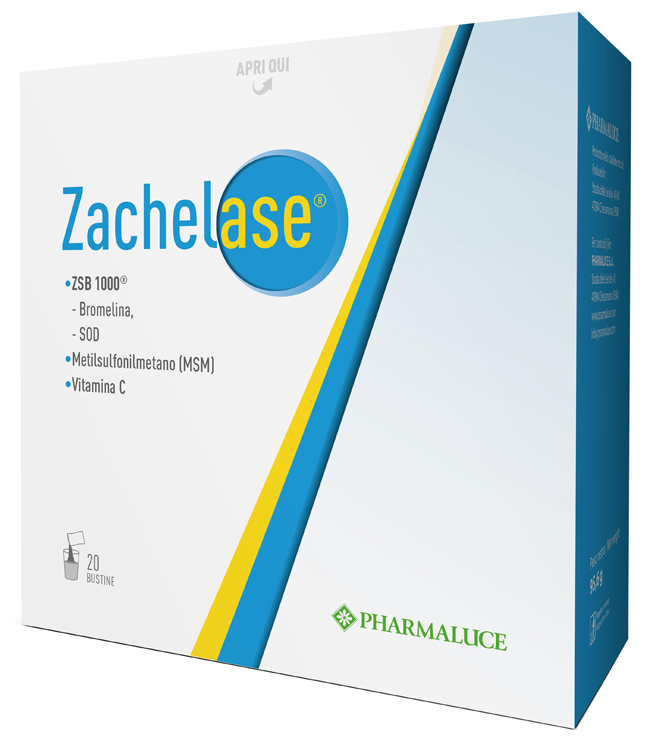 ZACHELASE 20 BUSTINE - Farmamood