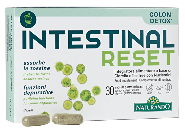 INTESTINAL RESET 30 CAPSULE - Farmamood