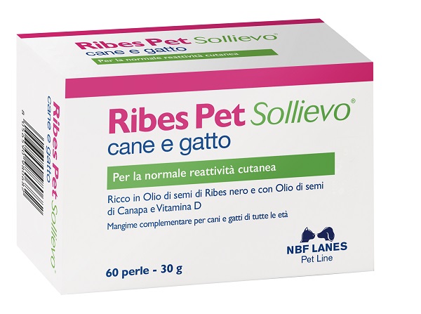 RIBES PET SOLLIEVO BLISTER 60 PERLE - Farmamood
