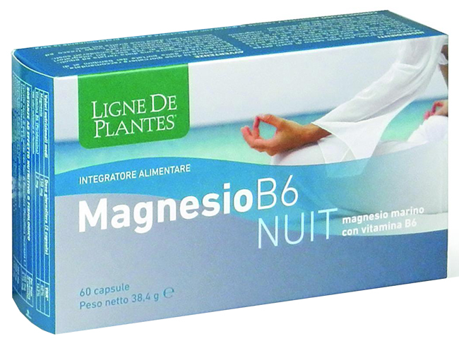 MAGNESIO B6 NUIT 60 CAPSULE - Farmamood