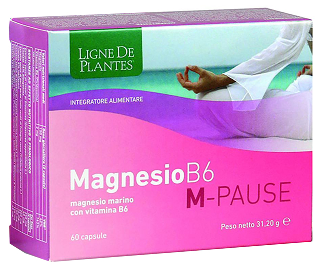 MAGNESIO B6 M-PAUSE 60 CAPSULE - Farmamood