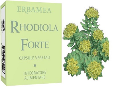 RHODIOLA FORTE 24 CAPSULE - Farmamood