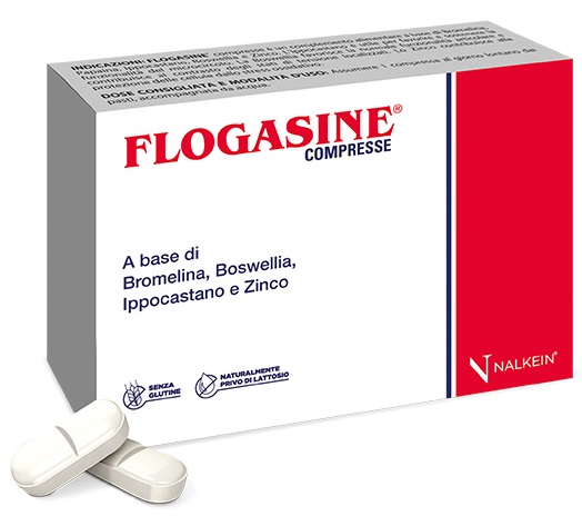 FLOGASINE 20 COMPRESSE - Farmamood