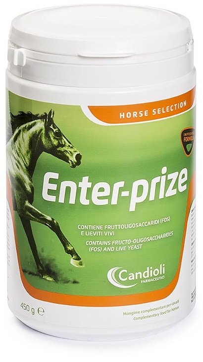 ENTER-PRIZE BARATTOLO 450 G - Farmamood